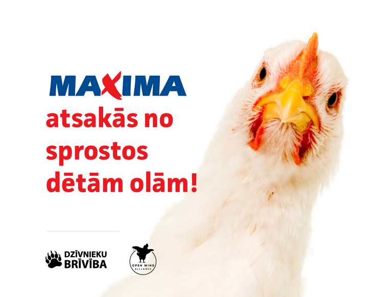 Maxima atsakās no sprostos dētām olām